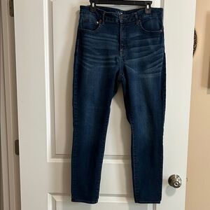Time and Tru High Rise Waist Skinny Jeans